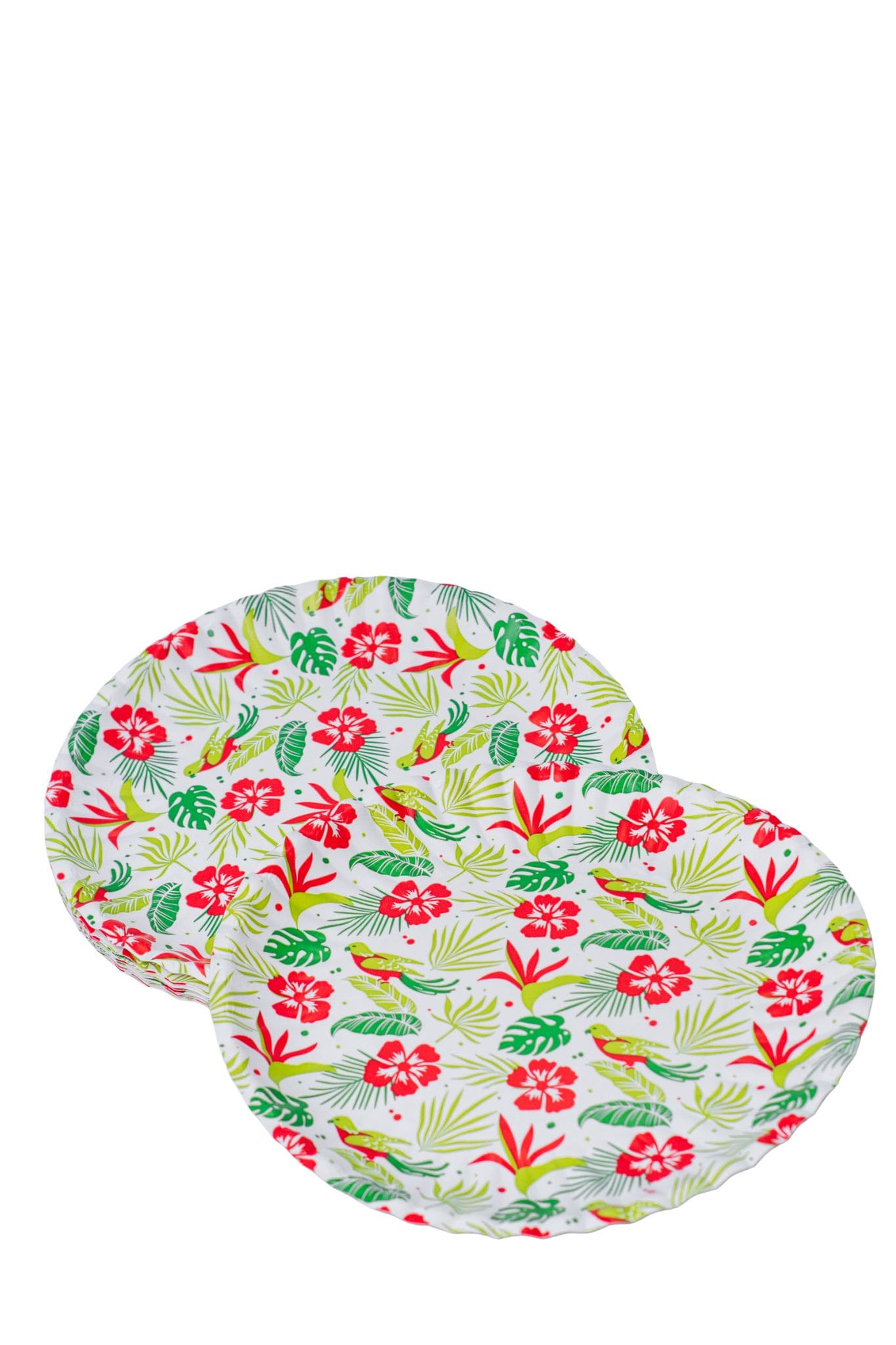 Platos Biodegradables