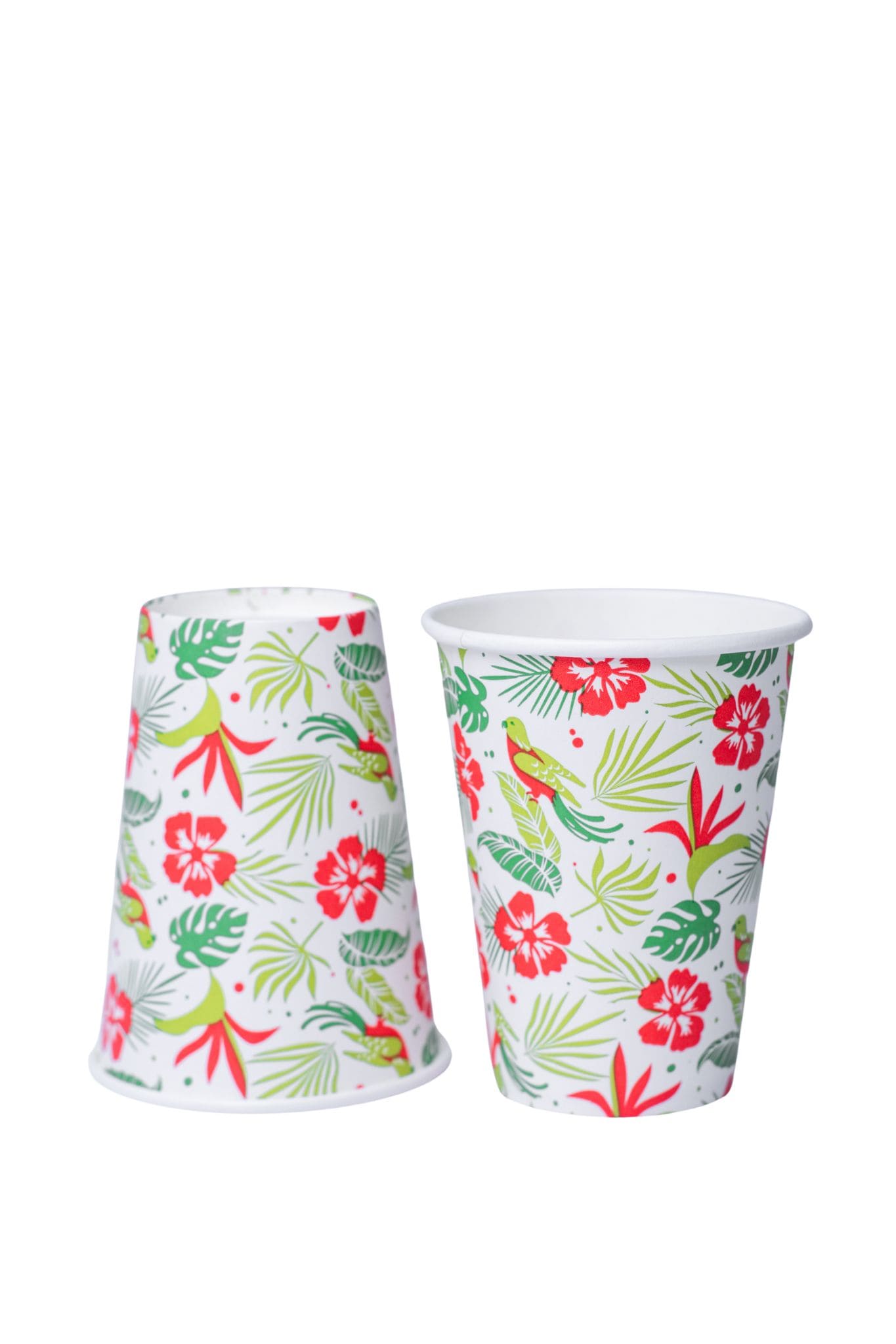 Vasos Biodegradables